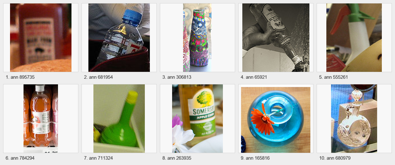 Ten support examples for the target bottle-like object